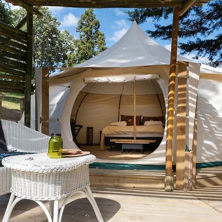 Отель Kerikeri Glamping Экстерьер фото