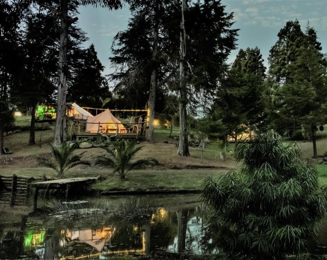 Отель Kerikeri Glamping Экстерьер фото
