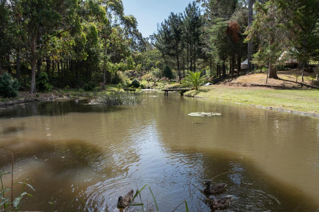 Отель Kerikeri Glamping Экстерьер фото