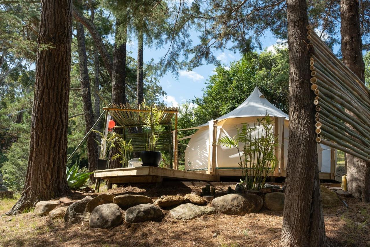 Отель Kerikeri Glamping Экстерьер фото