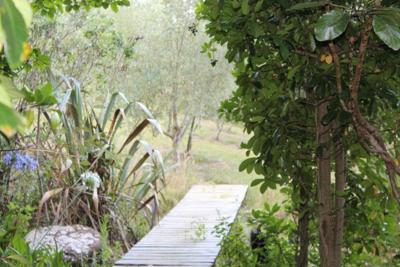Отель Kerikeri Glamping Экстерьер фото