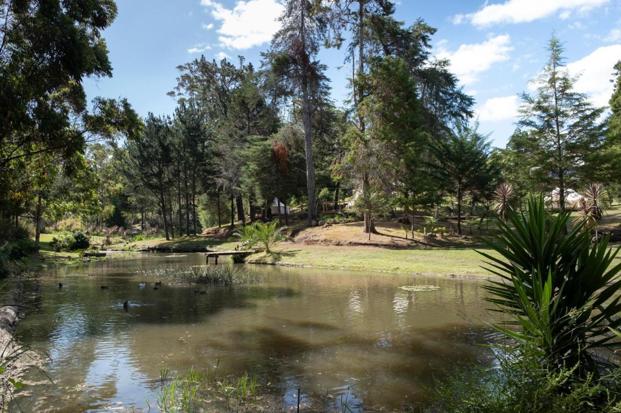 Отель Kerikeri Glamping Экстерьер фото