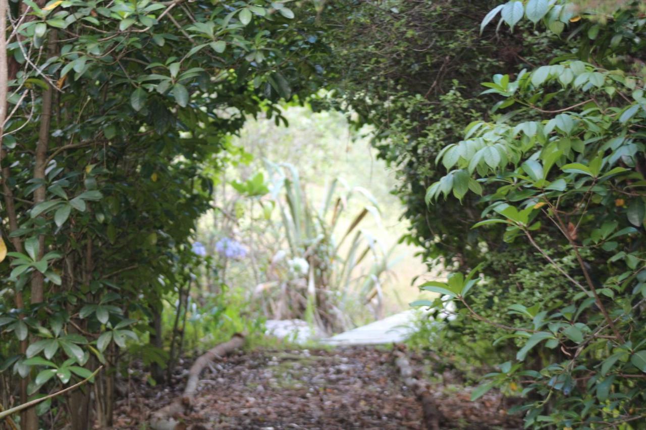 Отель Kerikeri Glamping Экстерьер фото