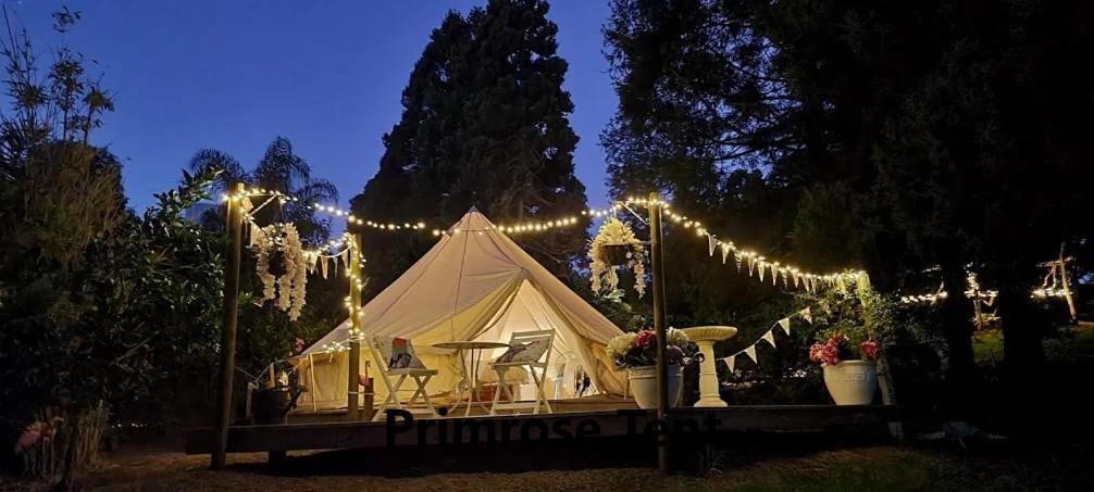 Отель Kerikeri Glamping Экстерьер фото