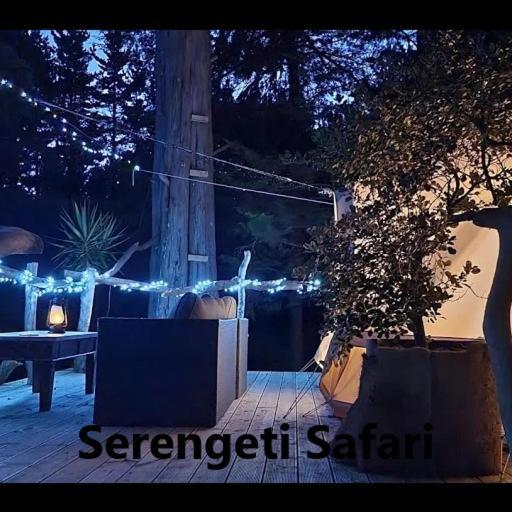 Отель Kerikeri Glamping Экстерьер фото